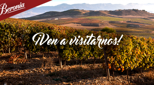 El turismo del vino en La Rioja con Beronia