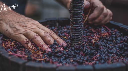 Vino y mitología. Un viaje de leyenda al génesis del vino