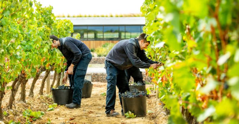 Beronia Winemaking In Rioja 