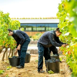 Beronia Winemaking In Rioja