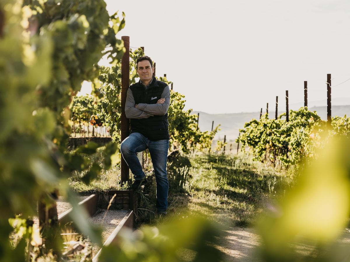 Estilo Beronia Alejandro López